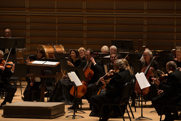 20140228_Detrot_Symphony_Orchestra_2014CG3P0030