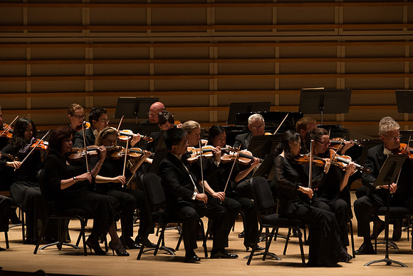20140228_Detrot_Symphony_Orchestra_2014CG3P0293