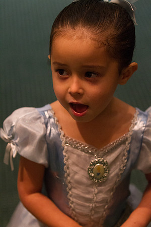 20141028_Cinderella_AL1B1099