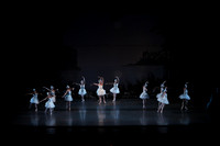 20151022_MCB_Swan_Lake_DR_Arsht__75A8105