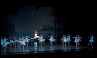 20151025_MCB_Swan_Lake_2Cast_Arsht_IMG_9864