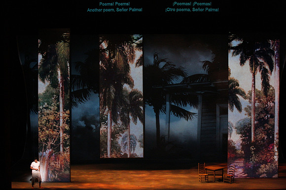 Before Night Falls Florida Grand Opera by Jorge Martin with Dolores M. Koch