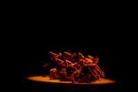 20160220_Alvin_Ailey_Revelations_IMG_5969
