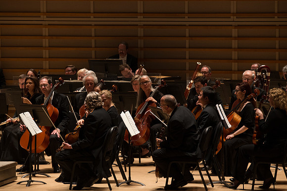 20140228_Detrot_Symphony_Orchestra_2014CG3P0121