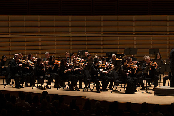 20140228_Detrot_Symphony_Orchestra_2014CG3P0137