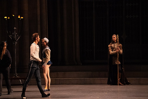 Swan_Lake_Act 3_DR 1 Cast5531