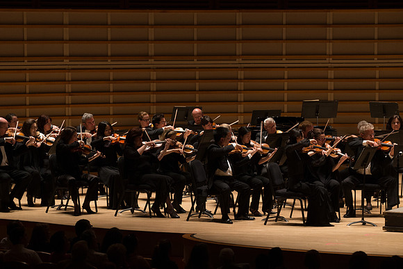 20140228_Detrot_Symphony_Orchestra_2014CG3P0247