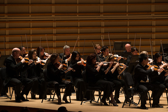 20140228_Detrot_Symphony_Orchestra_2014CG3P0176