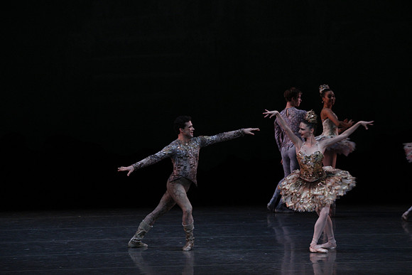 20160318_Midsummer_Night's_Dream_PR_Closeup_G3P0148