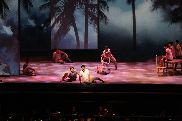 Before Night Falls Florida Grand Opera by Jorge Martin with Dolores M. Koch