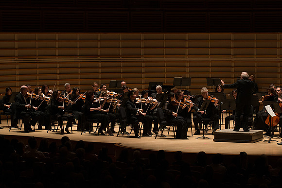20140228_Detrot_Symphony_Orchestra_2014CG3P0208