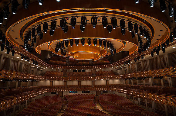 20140228_Detrot_Symphony_Orchestra_20149C7C1582