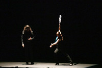 Flamenco 2019
