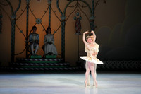 20141223_Nutcracker_ARTC_Pasdedeux_CG3P0735