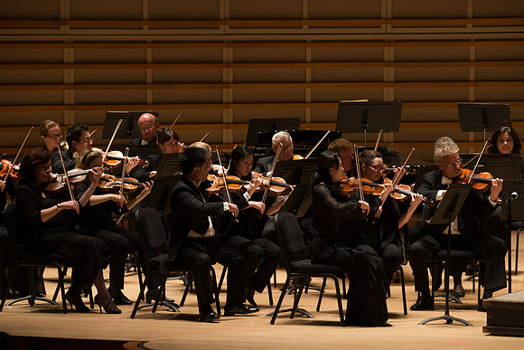 20140228_Detrot_Symphony_Orchestra_2014CG3P0217