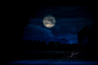 20240418_Swan_Lake_ACT_2_2_Cast_DSC5528.ARW