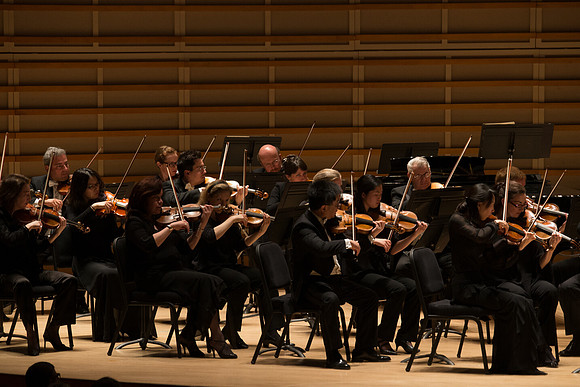 20140228_Detrot_Symphony_Orchestra_2014CG3P0173