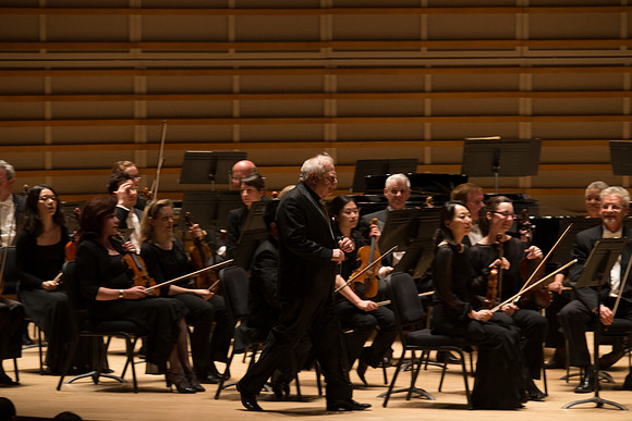 20140228_Detrot_Symphony_Orchestra_2014CG3P0124