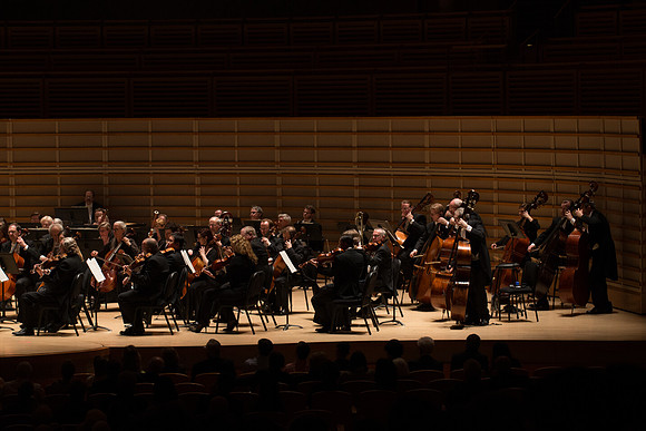 20140228_Detrot_Symphony_Orchestra_2014CG3P0188