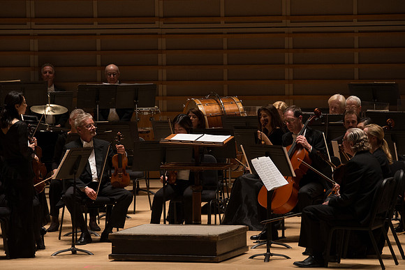 20140228_Detrot_Symphony_Orchestra_2014CG3P0065