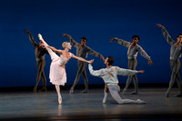 20261016_Allegro Brillante_DR_DSC01492