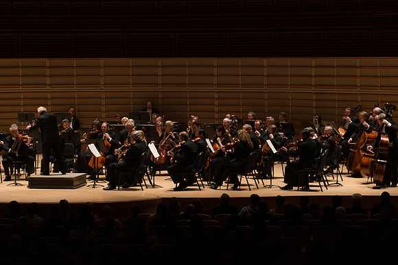 20140228_Detrot_Symphony_Orchestra_2014CG3P0209