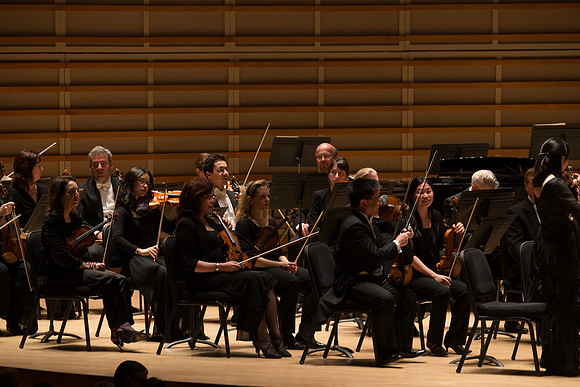 20140228_Detrot_Symphony_Orchestra_2014CG3P0114