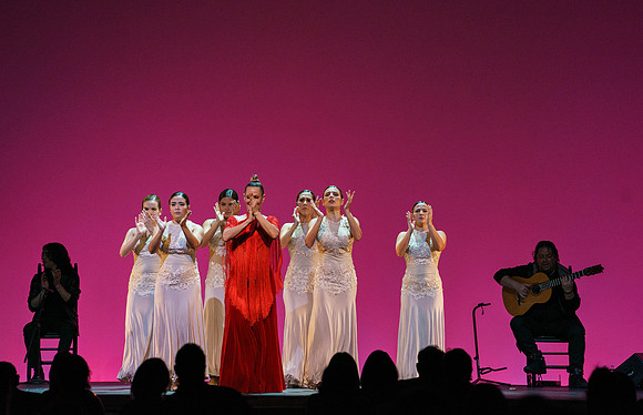 20210417_Siudy_ flamenco_archt_DSC9935