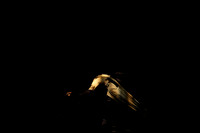 20140724_Hombre2_CG3P0008