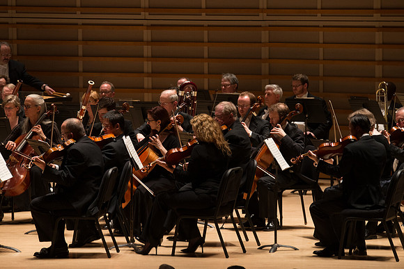 20140228_Detrot_Symphony_Orchestra_2014CG3P0231
