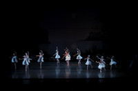 20151022_MCB_Swan_Lake_DR_Arsht__75A8093
