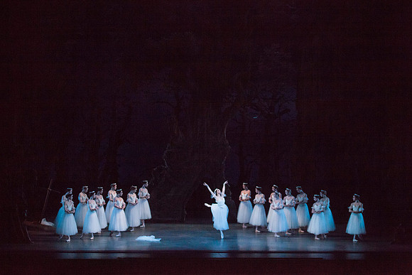 7064_DG_GISELLE_Broward_Preformance_Miami_City_Ballet_FL_IMG_4217