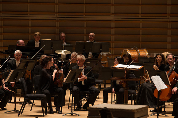 20140228_Detrot_Symphony_Orchestra_2014CG3P0042