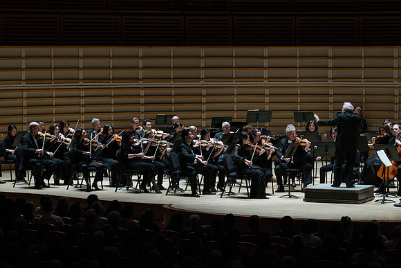 20140228_Detrot_Symphony_Orchestra_2014CG3P0208