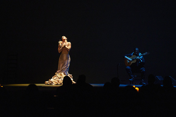 20210417_Siudy_ flamenco_archt_DSC5685