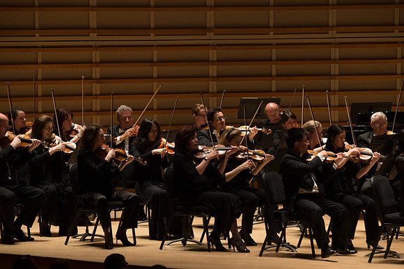 20140228_Detrot_Symphony_Orchestra_2014CG3P0175