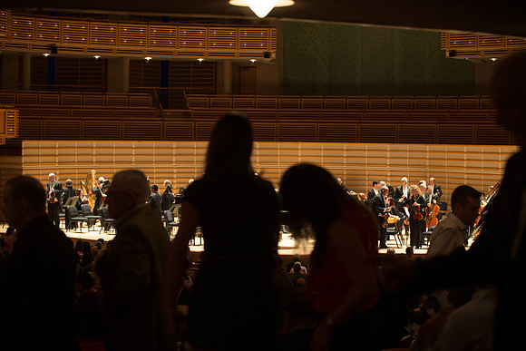 20140228_Detrot_Symphony_Orchestra_2014CG3P0087