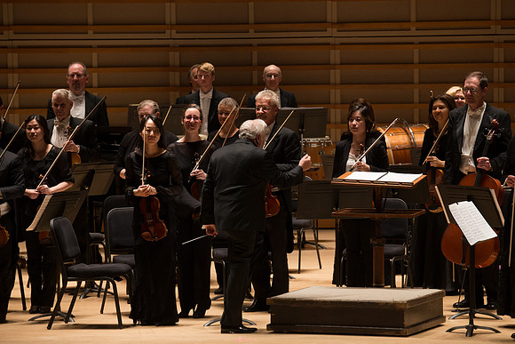 20140228_Detrot_Symphony_Orchestra_2014CG3P0067