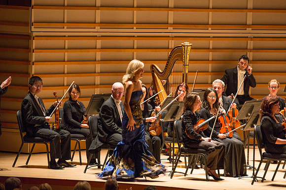 20140228_Detrot_Symphony_Orchestra_20149C7C1791