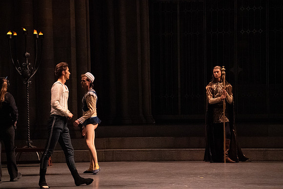 Swan_Lake_Act 3_DR 1 Cast5530