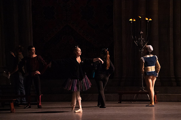 Swan_Lake_Act 3_DR 1 Cast5532