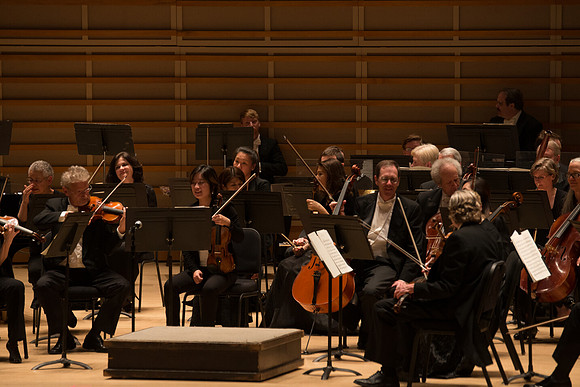 20140228_Detrot_Symphony_Orchestra_2014CG3P0103