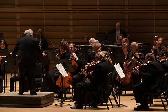 20140228_Detrot_Symphony_Orchestra_2014CG3P0195