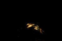 20140724_Hombre2_CG3P0006