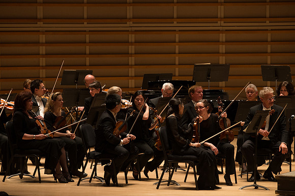20140228_Detrot_Symphony_Orchestra_2014CG3P0111