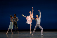 20261016_Allegro Brillante_DR_DSC00386