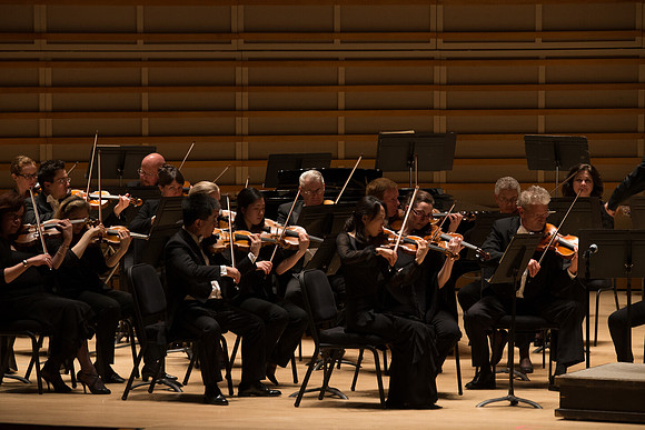20140228_Detrot_Symphony_Orchestra_2014CG3P0228