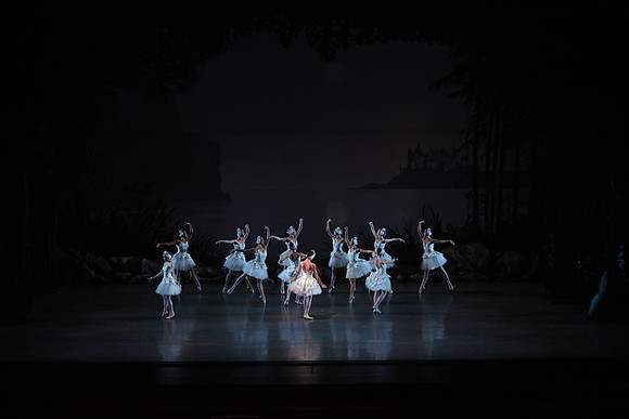 20151022_MCB_Swan_Lake_DR_Arsht__75A8172