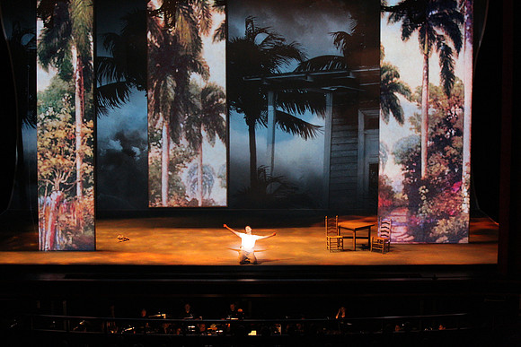 Before Night Falls Florida Grand Opera by Jorge Martin with Dolores M. Koch