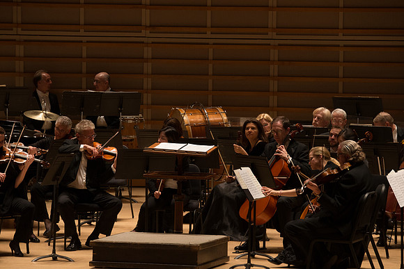 20140228_Detrot_Symphony_Orchestra_2014CG3P0031